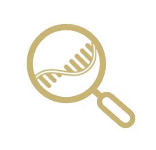 LINDTIE Logo