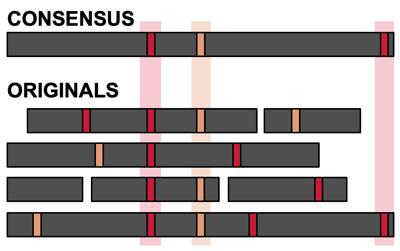 consensus diagram